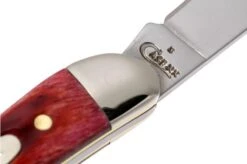 Case Small Texas Toothpick Pocket Worn Old Red Bone, 610096 SS Pocket Knife 14 Case Small Texas Toothpick Pocket Worn Old Red Bone, 610096 SS Pocket Knife -Knife Hub Shop CE792 05 case ce792 05