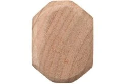 Eden Dento Paring Knife 12 Cm, Aogami Steel -Knife Hub Shop EQ2070 112 05 eden dento petty eq2070 112 05