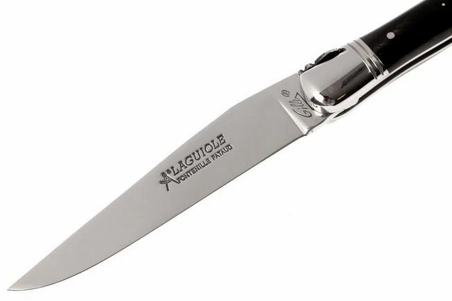 Fontenille Pataud L6PCN 4 Fontenille Pataud L6PCN - Image 2