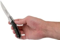 Le Thiers Pocket Rough Buffalo Horn T8BB Pocket Knife By Fontenille Pataud -Knife Hub Shop FPT8BB 08 fontenille pataud