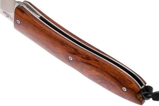 LionSteel Big Opera, 8810 ST, Santos 7 LionSteel Big Opera, 8810 ST, Santos - Image 5