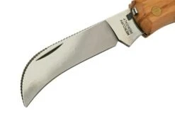 Mercury Mico 1 9M1UP Olive Wood, Mushroom Knife -Knife Hub Shop MY9M1UP 03 mercury