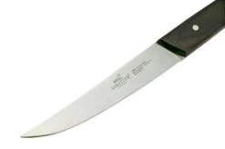 Lion Sabatier International Occitan 901080, 4-piece Steak Knife Set -Knife Hub Shop SA901080 03 lionsabatier