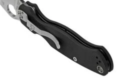 Spyderco Paramilitary 2 C81GP2 Pocket Knife 23 Spyderco Paramilitary 2 C81GP2 Pocket Knife -Knife Hub Shop SPC81GP2 04 spyderco 1