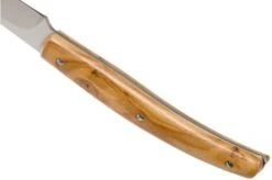 Viper Costata Steak Knife Set Olive Wood 4-piece, VT7502-04UL -Knife Hub Shop VPVT7502 04UL 04 viper