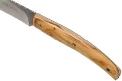 Viper Costata Steak Knife Set Olive Wood 4-piece, VT7502-04UL -Knife Hub Shop VPVT7502 04UL 05 viper