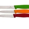 Victorinox SwissClassic Vegetable Knife Set, Set Of 3 6.7116.32 -Knife Hub Shop VT6 7116 32 01 victorinox vt6 7116 32 01
