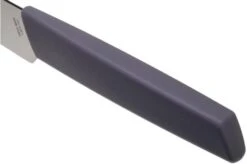 Victorinox Swiss Modern Paring Knife 15 Cm, Lavender-lilac -Knife Hub Shop VT6 9016 1521B 05 victorinox