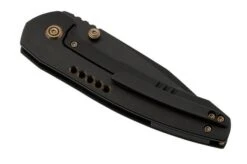 WE Knife Trogon WE22002B-2 Black Titanium, Black Stonewashed CPM 20CV Pocket Knife -Knife Hub Shop WKWE22002B 2 07 weknife
