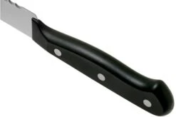 Wüsthof Gourmet Bread Knife 20 Cm, 1025045720 16 Wüsthof Gourmet Bread Knife 20 Cm, 1025045720 -Knife Hub Shop WU1025045720 05 wusthof v202102