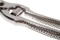 Wusthof Poultry Shears 26 Cm (10") 19 Wusthof Poultry Shears 26 Cm (10") -Knife Hub Shop WU5505 03 wusthof 5505 wildschaar d3