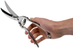 Wusthof Poultry Shears 26 Cm (10") 22 Wusthof Poultry Shears 26 Cm (10") -Knife Hub Shop WU5505 05 wusthof classic v2018 05