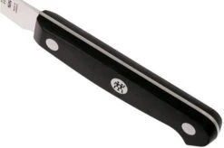 Zwilling Gourmet Steak Knife 12 Cm, 36119-121 -Knife Hub Shop ZW36119 121 0 05 zwilling gourmet zw36119 121 0 05