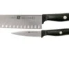 Zwilling Life 2-piece Set, 38590-000-0 1 Zwilling Life 2-piece Set, 38590-000-0 -Knife Hub Shop ZW38590 000 0 01 zwilling life zw38590 000 0 01