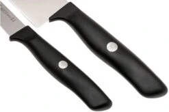 Zwilling Life 2-piece Set, 38590-004-0 -Knife Hub Shop ZW38590 004 0 04 zwilling life zw38590 004 0 04